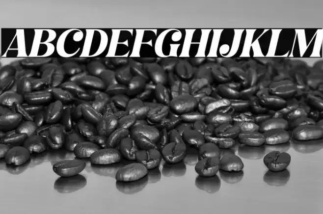 Hochagi Italic Font examples