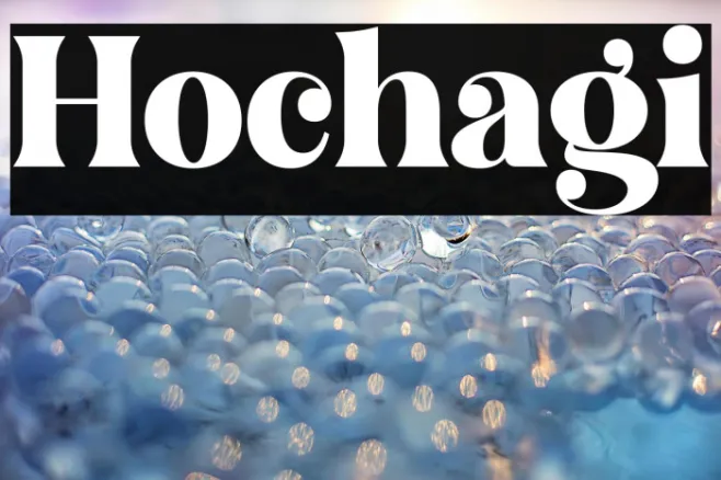Hochagi Example 3