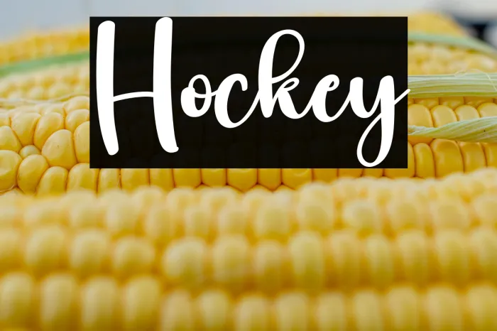 Hockey Example 2