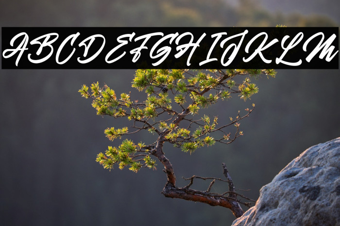 HockieScript Example 1