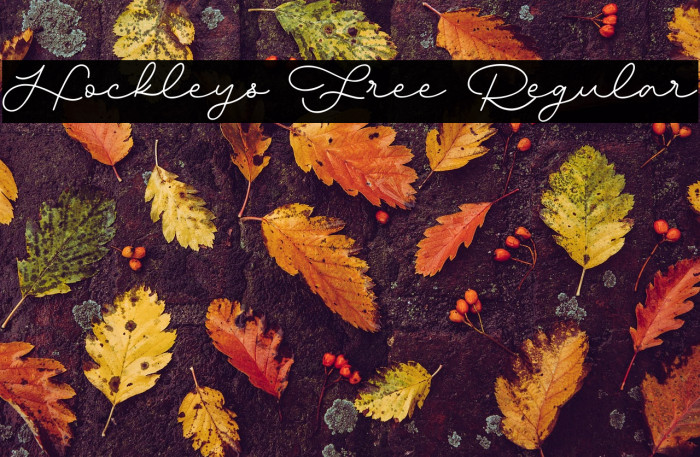 Hockleys Free Regular Example 1