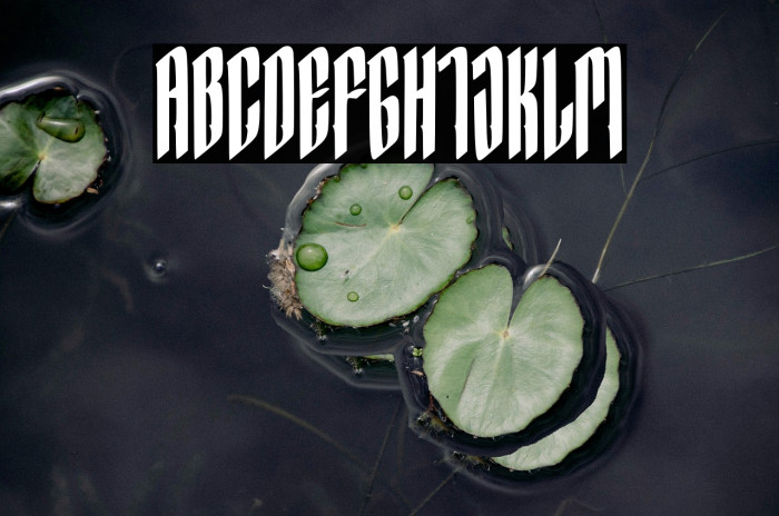 Hocrux Regular Example 1