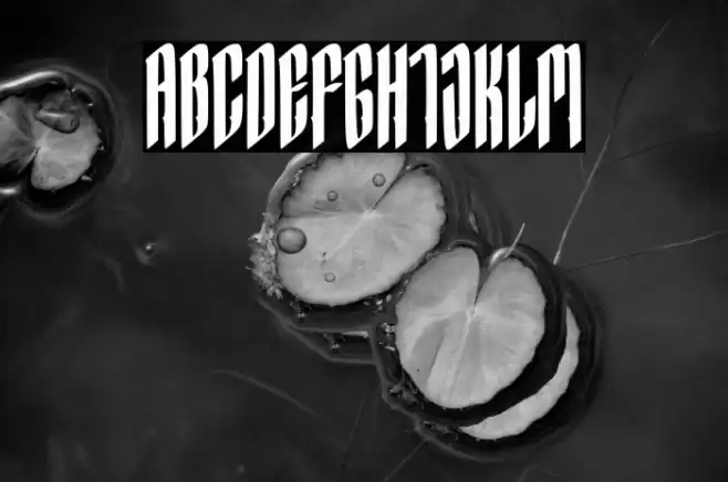 Hocrux Regular Font examples