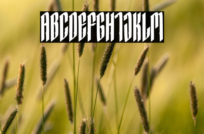 Hocrux Regular Example 3