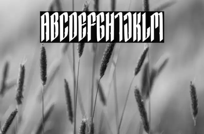 Hocrux Regular Font examples