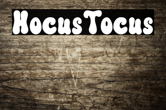 HocusTocus Example 3