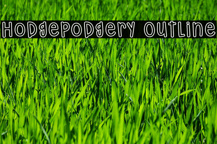 Hodgepodgery Outline Шрифта examples