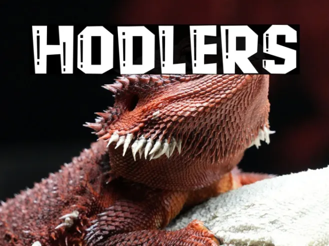 Hodlers Example 1