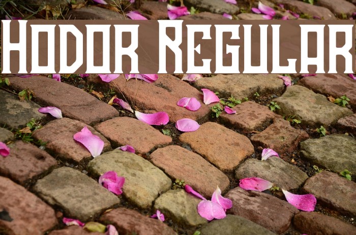 Hodor Regular Example 3