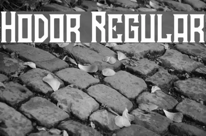 Hodor Regular Font examples