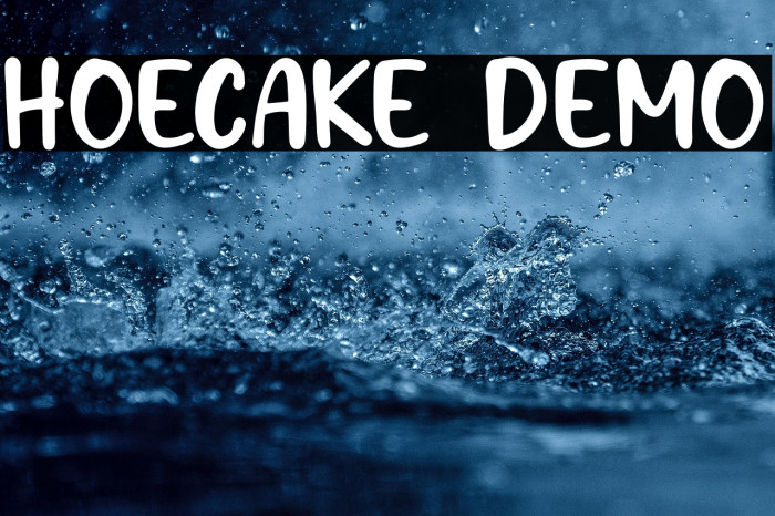 Hoecake DEMO Example 2