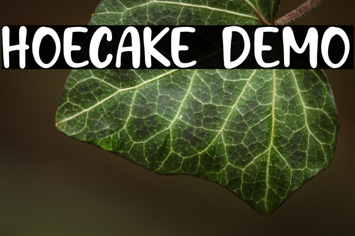 Hoecake DEMO Example 3