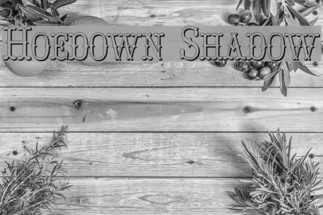 Hoedown Shadow Polices examples