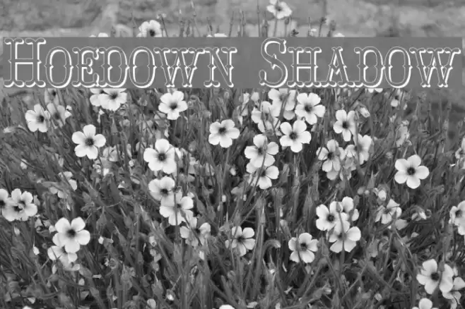 Hoedown Shadow Polices examples