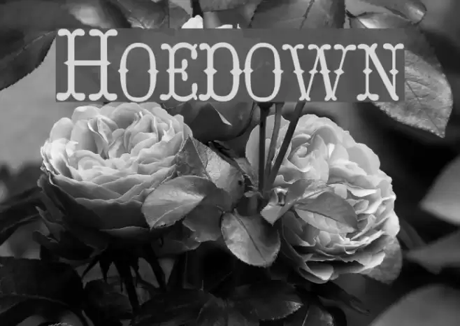 Hoedown Font examples