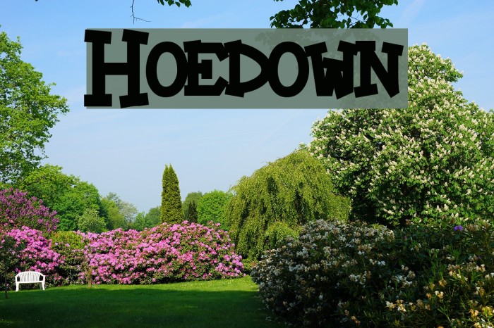 Hoedown Font examples