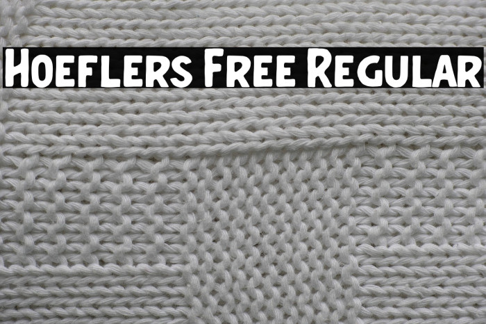 Hoeflers Free Regular Example 3