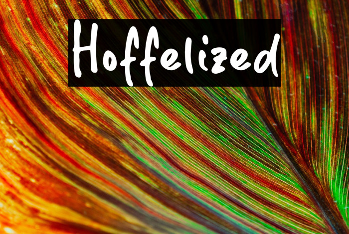 Hoffelized Example 1