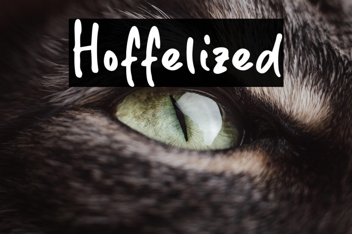 Hoffelized Example 2