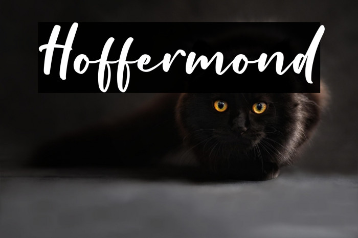 Hoffermond Example 1