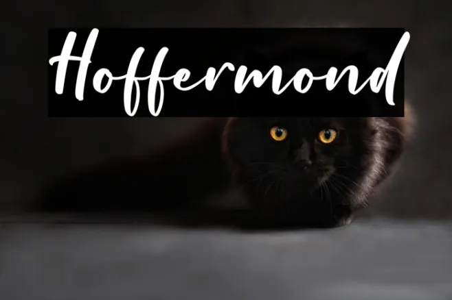 Hoffermond Example 1