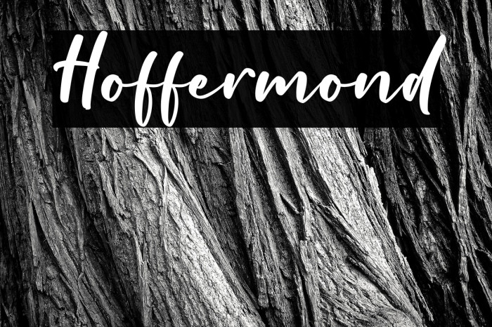 Hoffermond Example 2