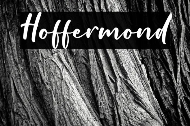 Hoffermond Example 2