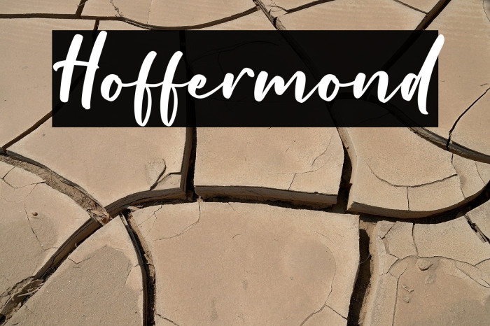 Hoffermond Example 3