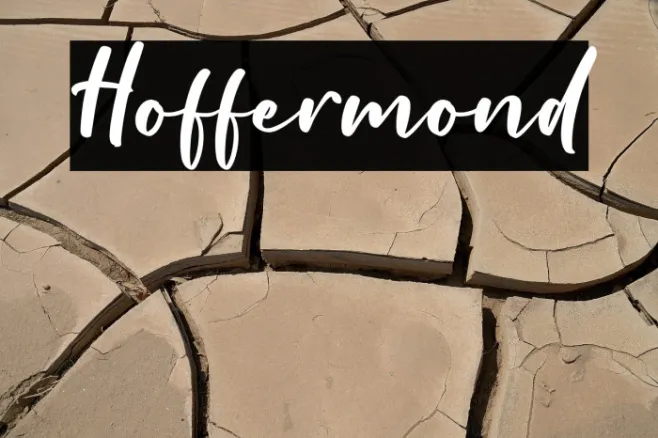 Hoffermond Example 3