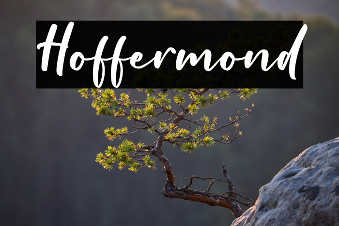 Hoffermond Example 2