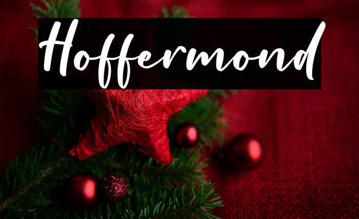 Hoffermond Example 3