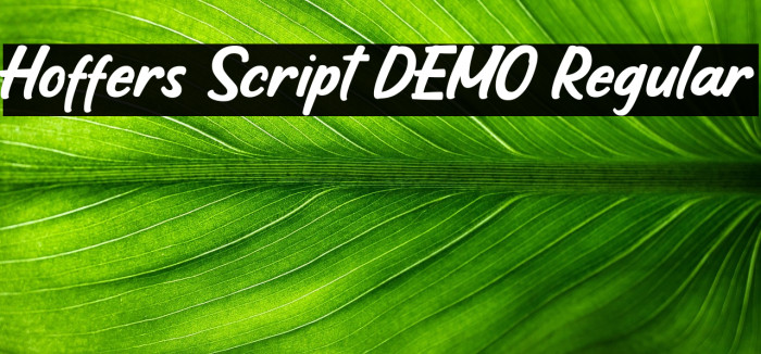 Hoffers Script DEMO Regular Example 1