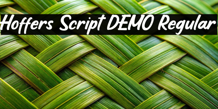 Hoffers Script DEMO Regular Example 2