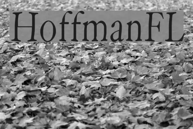 HoffmanFL Font examples