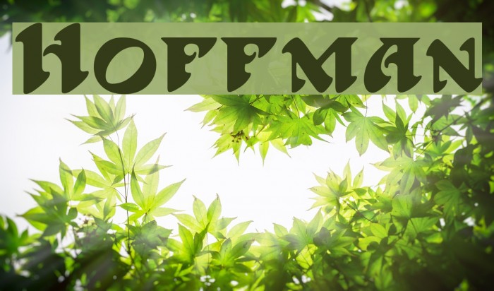 Hoffman Font examples