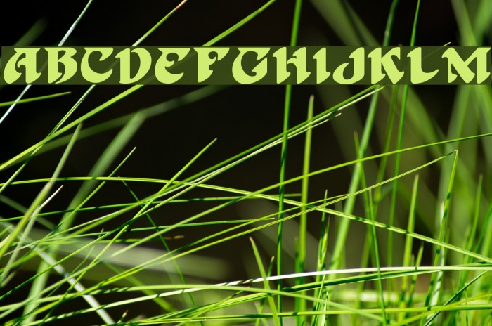 Hoffmann Regular Font examples