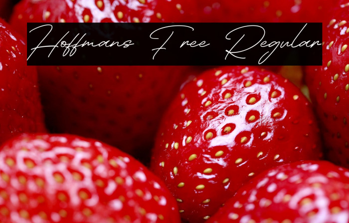 Hoffmans Free Regular Example 2