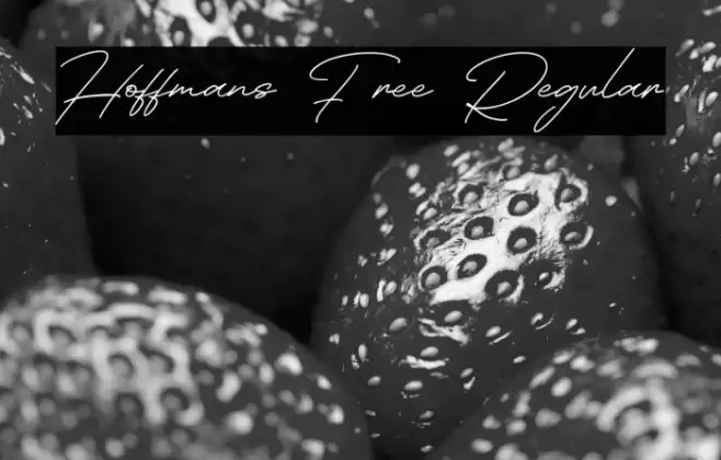 Hoffmans Free Regular Font examples