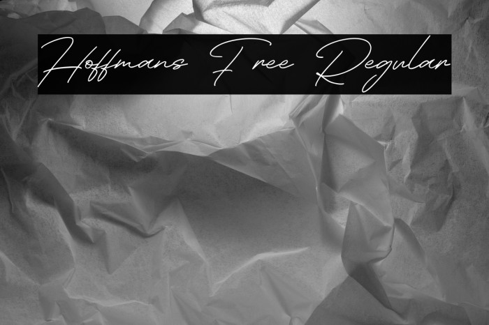 Hoffmans Free Regular Example 3