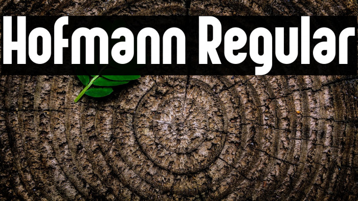 Hofmann Regular Example 1