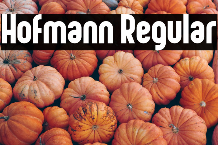 Hofmann Regular Example 2