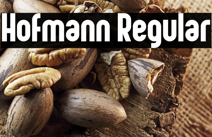 Hofmann Regular Example 3