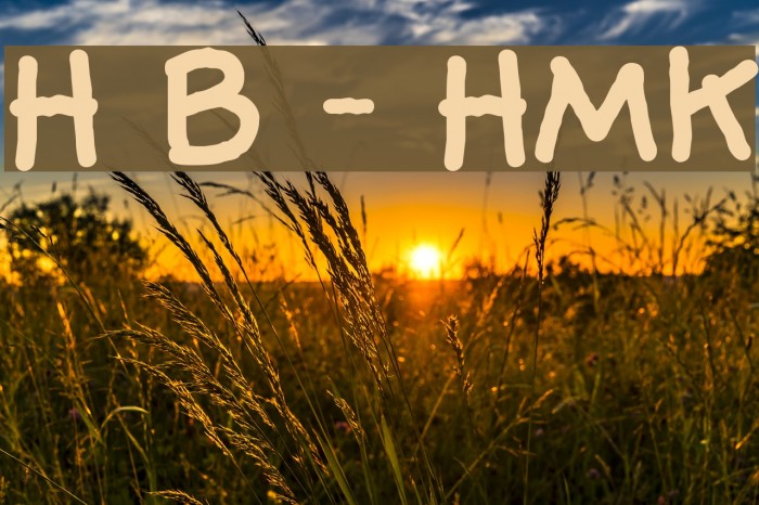 Hog Bold - HMK Font examples