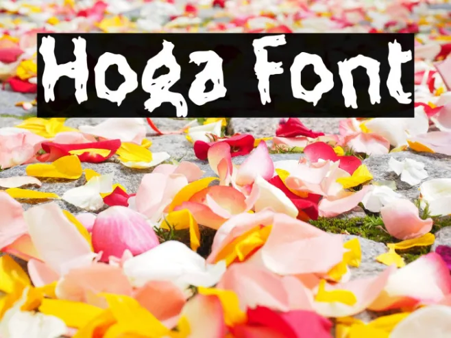 Hoga Example 1