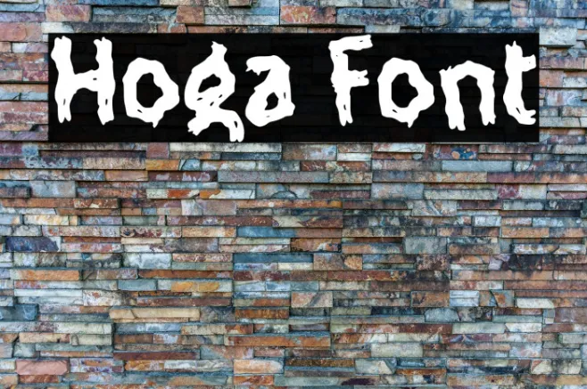 Hoga Example 3