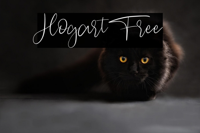 Hogart Free Example 2