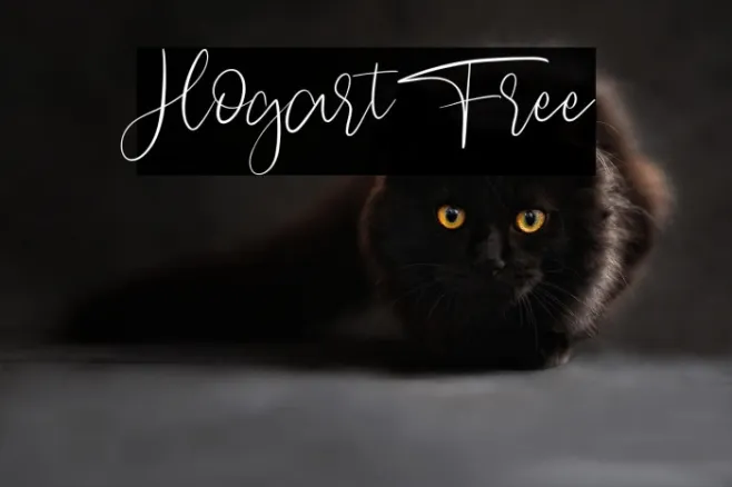 Hogart Free Example 2