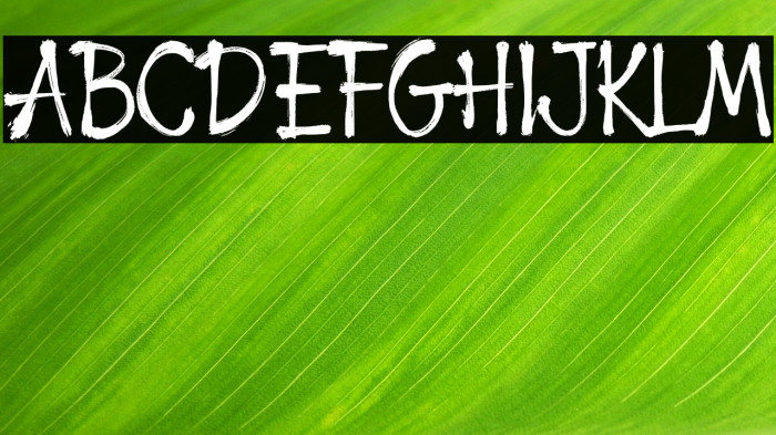 Hogback Demo Version Example 1