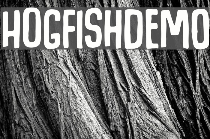 HogfishDEMO Example 1