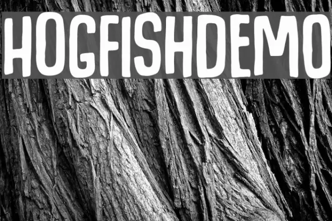 HogfishDEMO Font examples